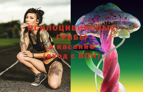 гашиш Новокубанск