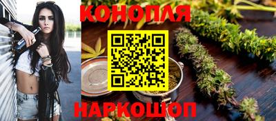 шишки Гагарин