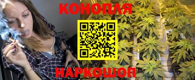 ПСИЛОЦИБИНОВЫЕ ГРИБЫ Гатчина