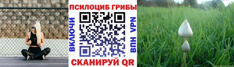 Галлюциногенные грибы GOLDEN TEACHER  Зеленогорск 