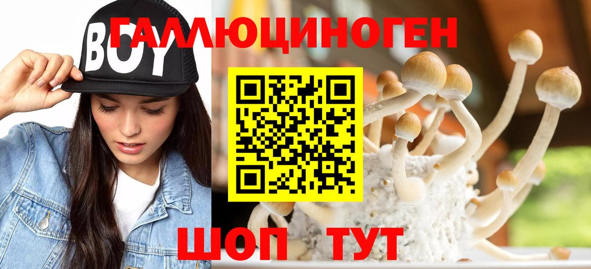 Псилоцибиновые грибы мицелий Зеленогорск