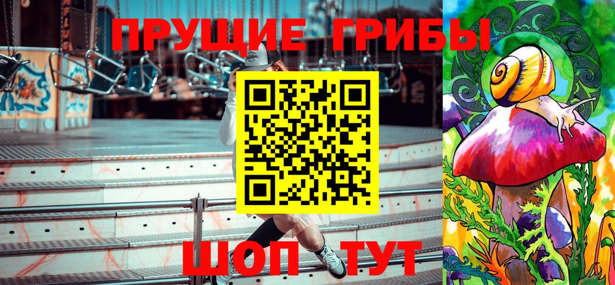 Псилоцибиновые грибы прущие грибы Зеленогорск