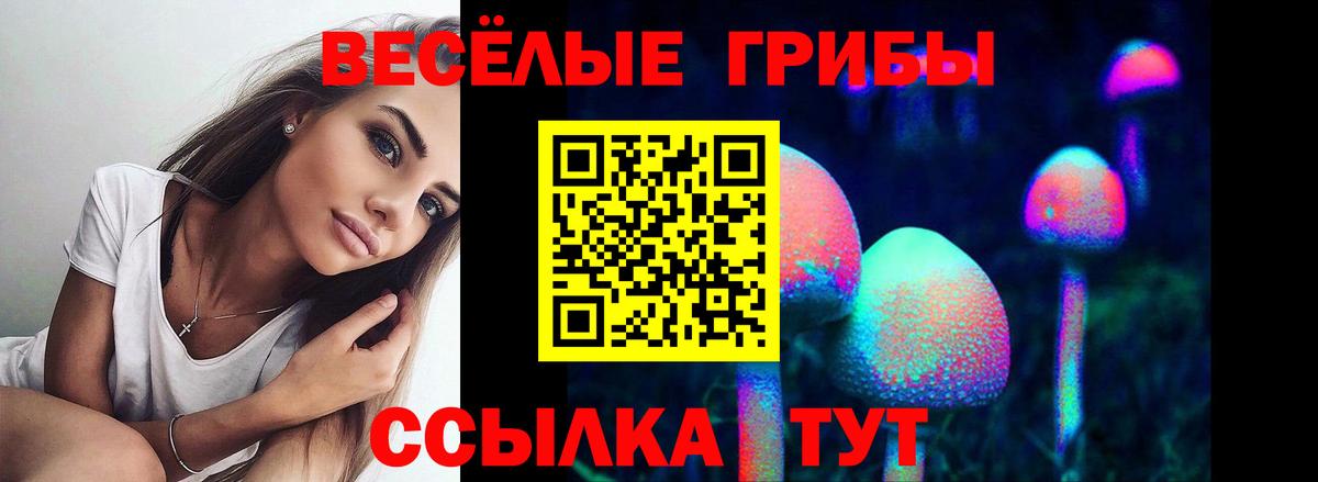 Зеленогорск  Галлюциногенные грибы GOLDEN TEACHER  Вход с VPN 